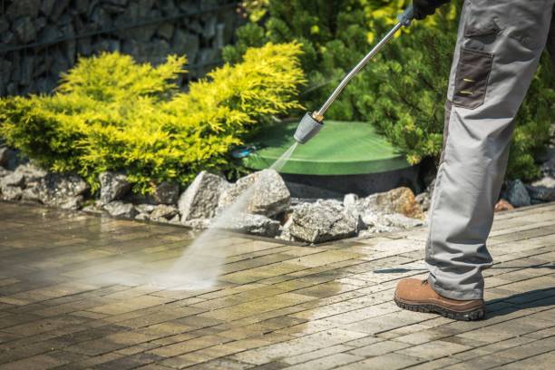 Best Animal Enclosure Cleaning  in Punxsutawney, PA